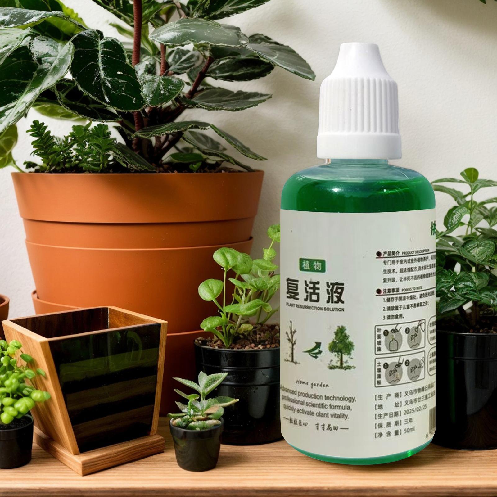 Root Stimulator for Plants Roo - Root Stimulator Liquid 评论和价格